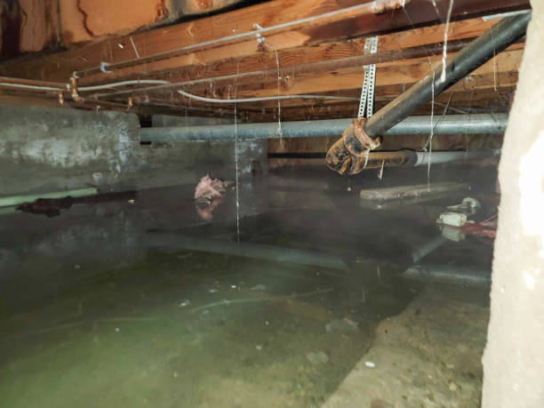 Water damage restoration process in Cordes Lakes, AZ