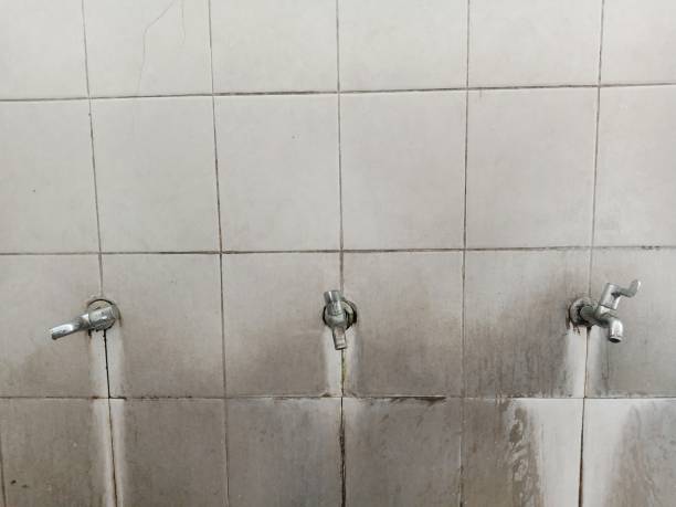 Best Carpet water damage restoration  in Cordes Lakes, AZ