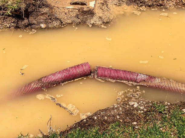 Best Flooded house restoration  in Cordes Lakes, AZ