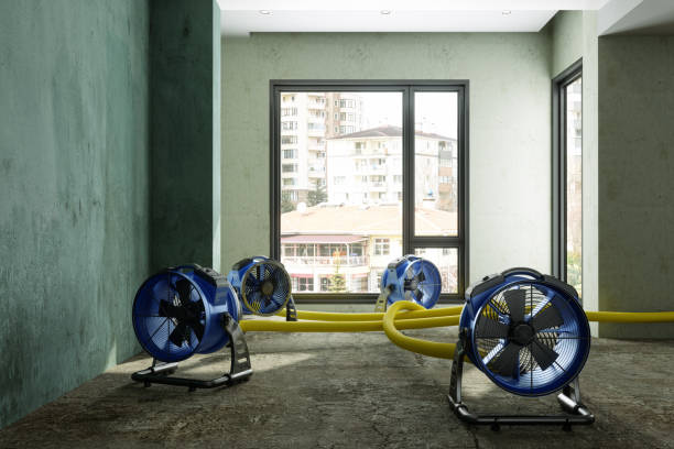Best Flood restoration services  in Cordes Lakes, AZ